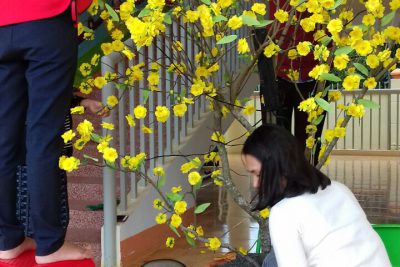 Hình ảnh trang trí chủ đề tết và mùa xuân